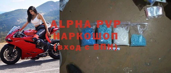 прущие грибы Сосновка